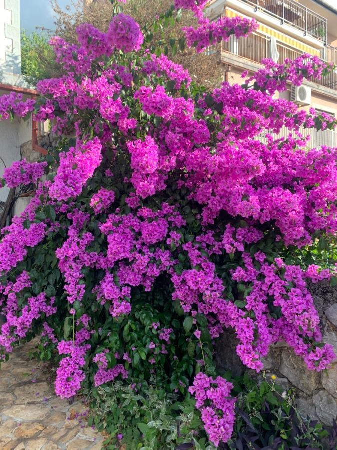 Holiday House Marica Lovran Εξωτερικό φωτογραφία
